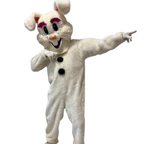 WhatsApp Image 2026-03-11 at 00.13.09 (1)