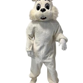 WhatsApp Image 2026-03-11 at 00.13.09